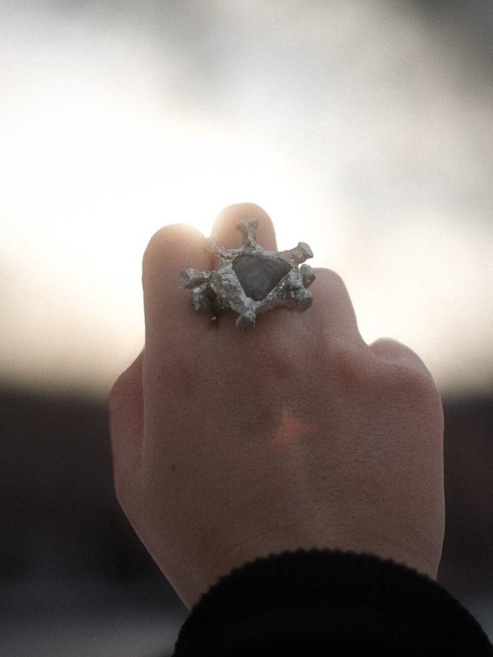 Insect Ring - Picture 2 of 2